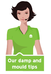 Our damp and mould top tips